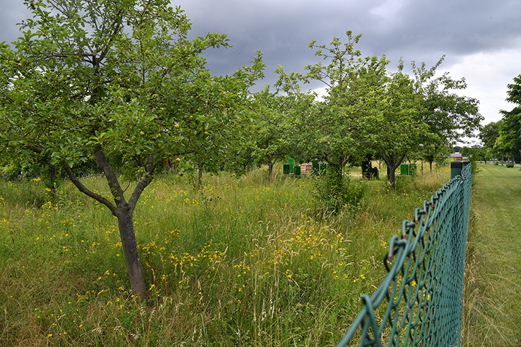 Nauheim-Online - 