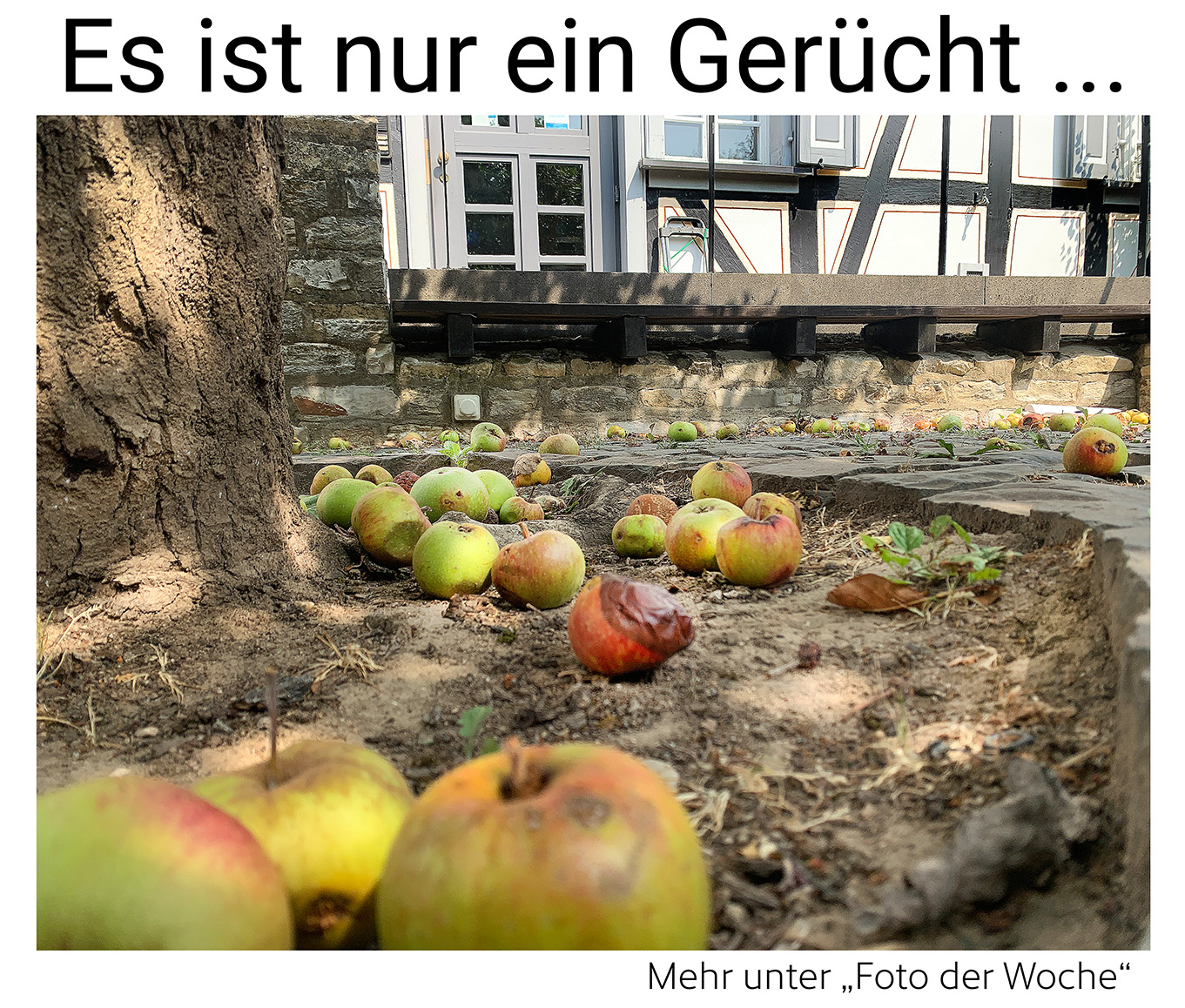 Nauheim-Online - Das Foto der Woche
