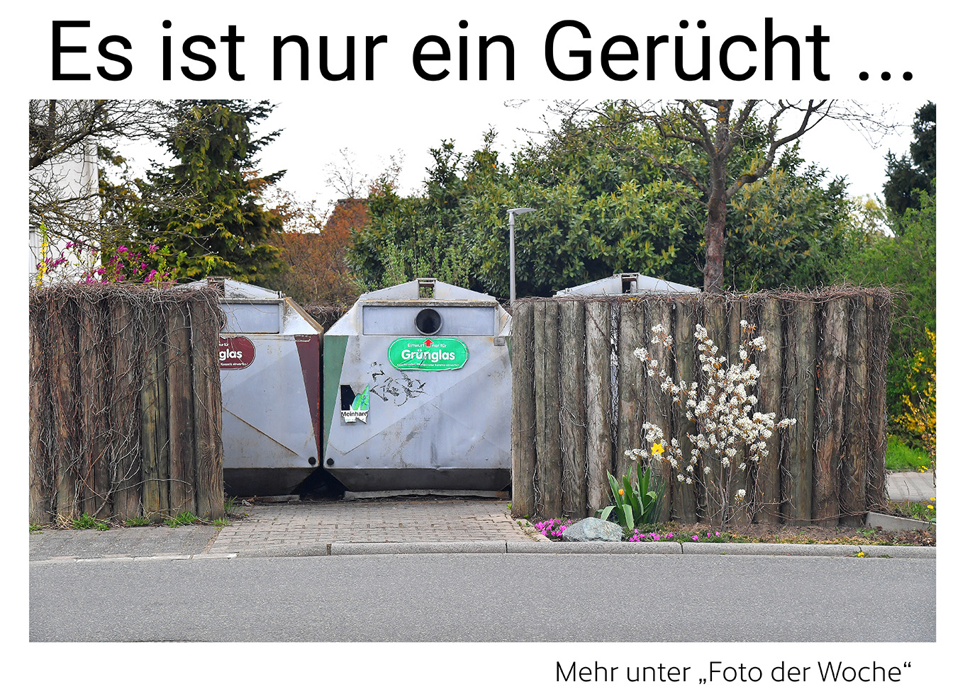 Nauheim-Online - Das Foto der Woche