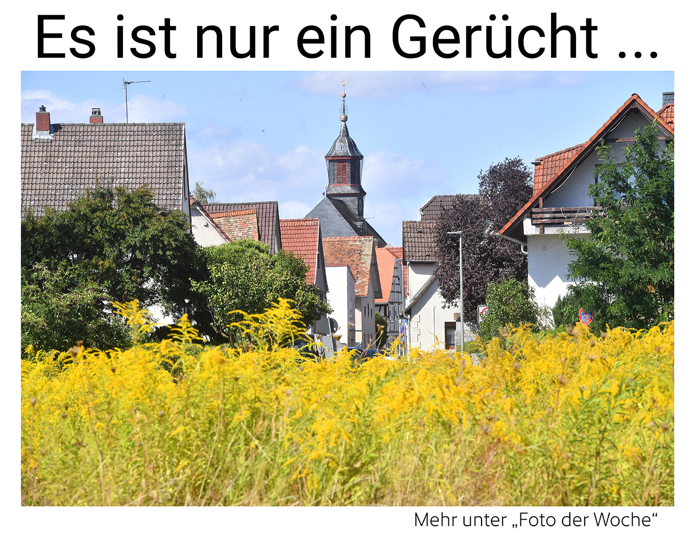 Nauheim-Online - Das Foto der Woche