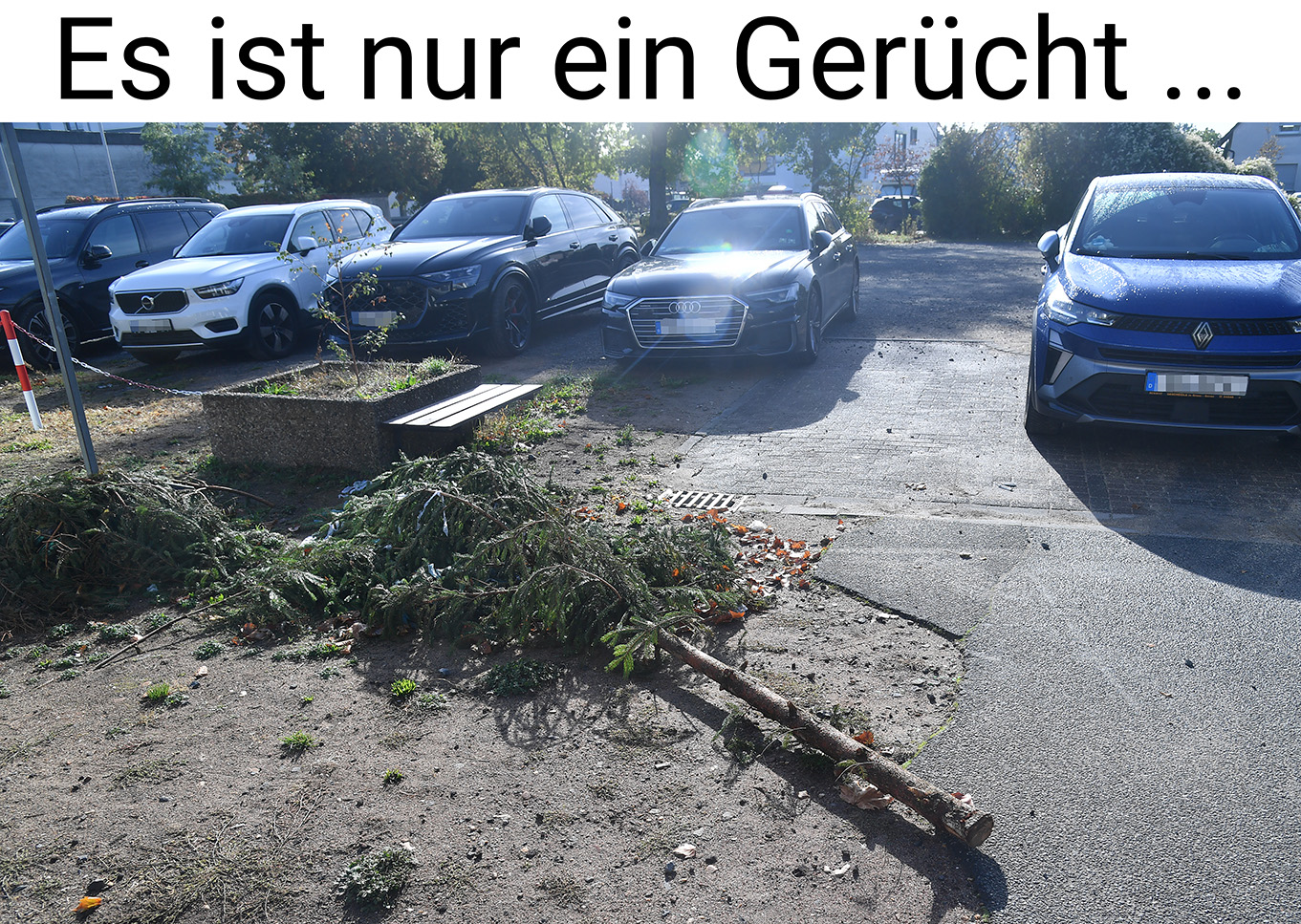 Nauheim-Online - Das Foto der Woche