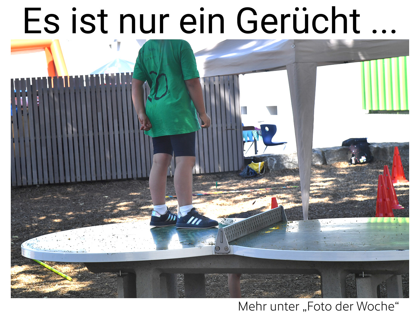Nauheim-Online - Das Foto der Woche