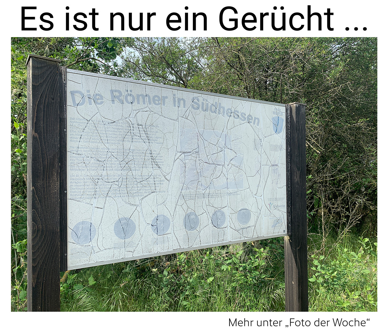 Nauheim-Online - Das Foto der Woche